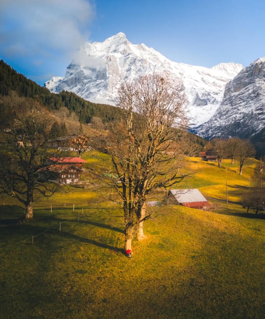 Buildings on a steep alpine hillside with snow-capped peaks behind